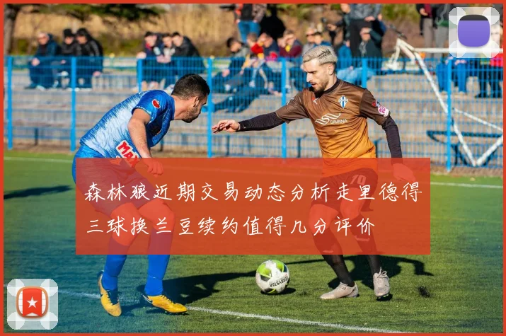森林狼近期交易动态分析走里德得三球换兰豆续约值得几分评价